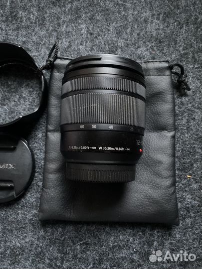 Panasonic lumix 12-60