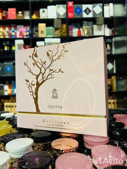 Deciduous Spring