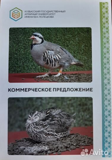 Кормовая добавка для сельскохозяйственной птицы