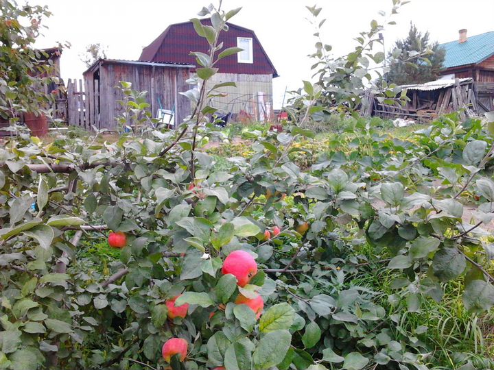 Дом 56 м² на участке 15 сот.