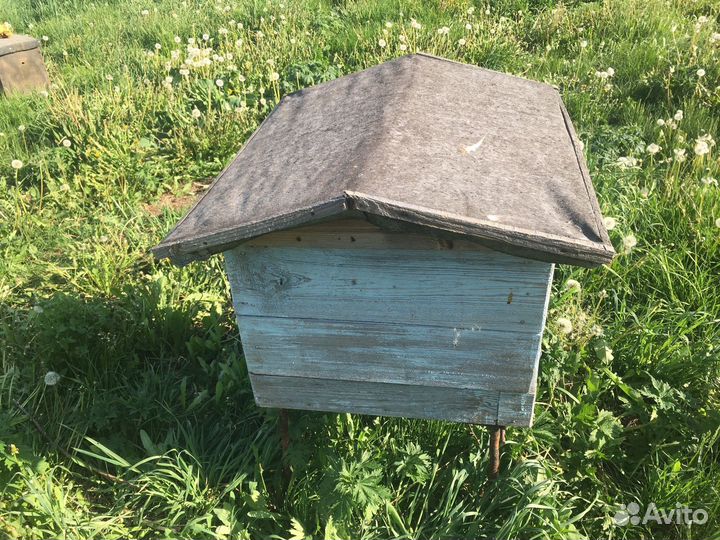 Пчелосемьи с ульями