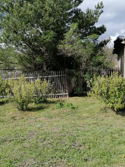 Дом 50 м² на участке 15 сот.