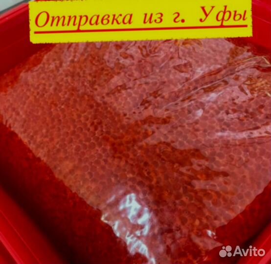 Красная икра