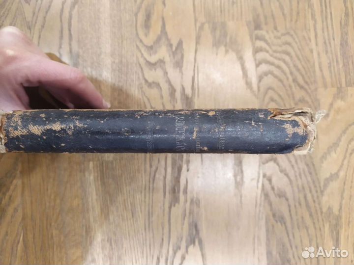 Собрание стихотворений Я.П.Полонского, 2 том,1896