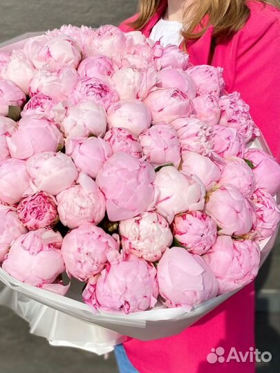 Букет пионы премиум 25 51 101 доставка