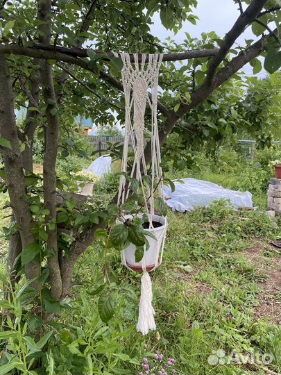 Макраме подвес кашпо х/б