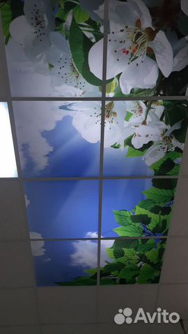 Подвесной потолок из оргстекла с фотопечатью