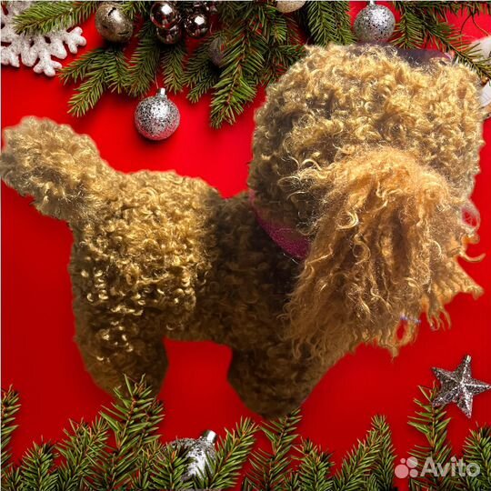 Интерактивная поющая собачка новая