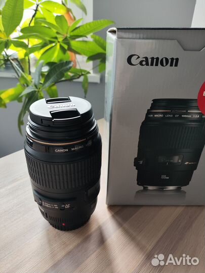 Новый Canon EF 100mm f/2.8 Macro USM