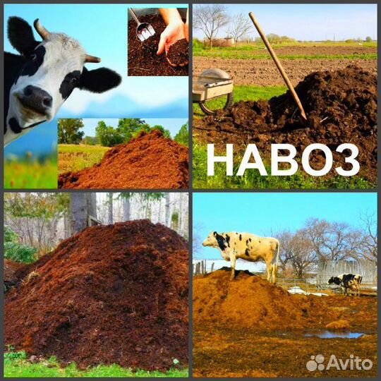 Органическое удобрение мелкой фракции от (крс)