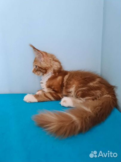 Милый малыш