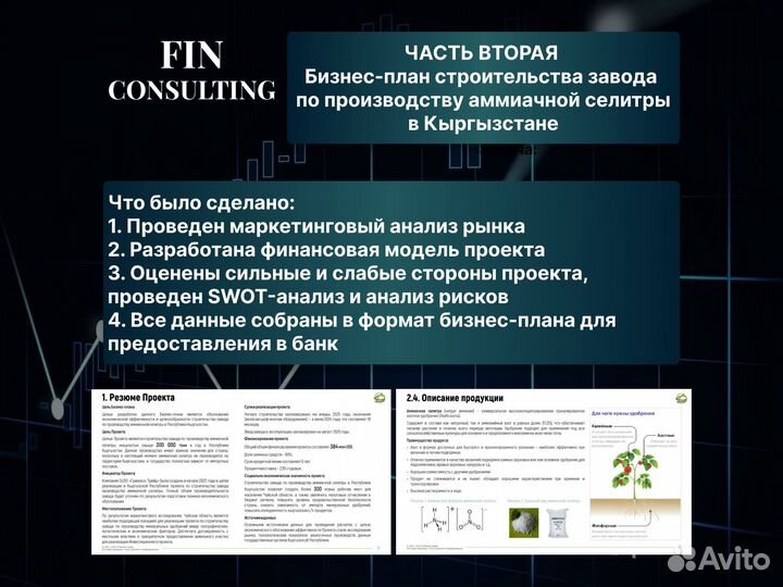 Бизнес план / Бизнес план для соцконтракта