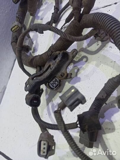 Проводка (коса) Лексус GS 3