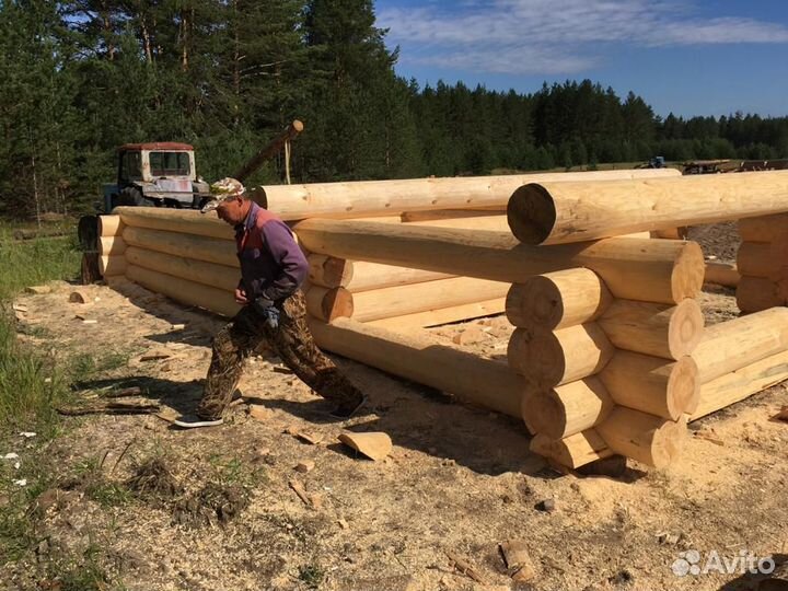 Срубы из осины