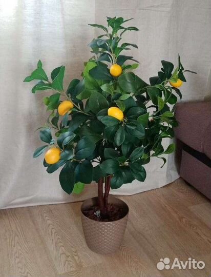 Лимон (ботаническая копия)