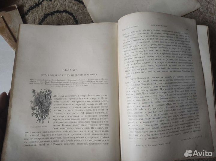 Святая Земля и Библия д-ра Гейки