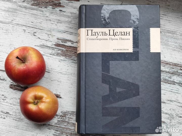 Пауль Целан. Издательство AD marginem