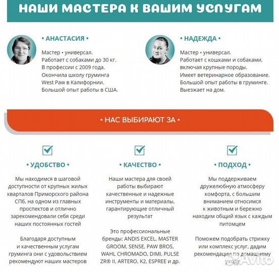 Груминг в Приморском районе СПб. Экспресс-линька