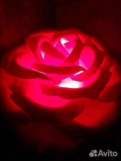 Роза-торшер