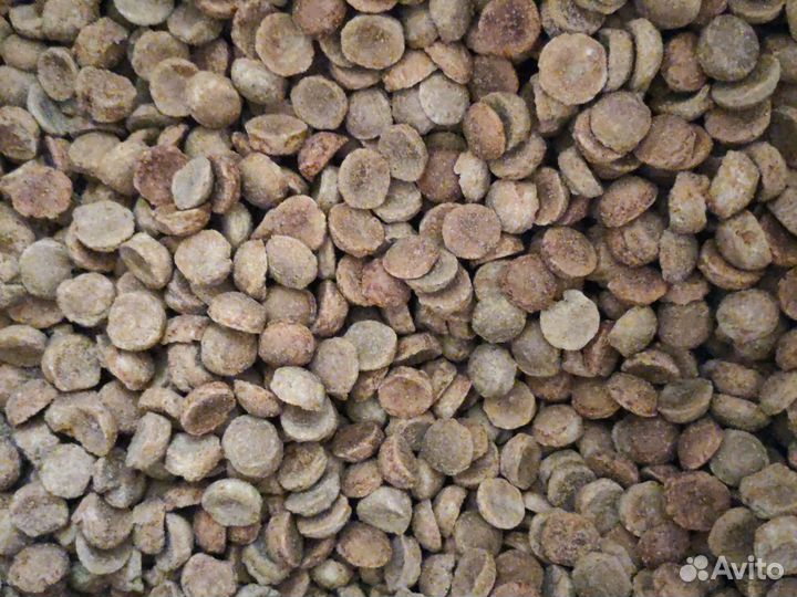 Корм и наполнитель для взрослых собак и кошек