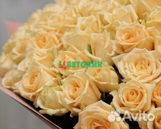 Букет из 101 кремовой розы 40 см (Россия)