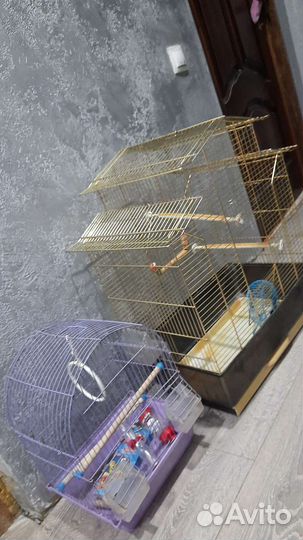 Клетка для птиц