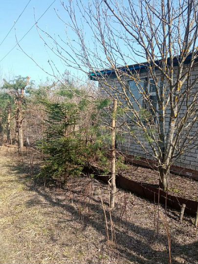 Дача 20 м² на участке 6 сот.