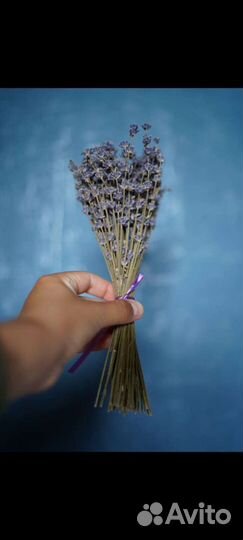 Букетики лаванды