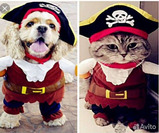 Костюм пирата, шлейка рюкзак