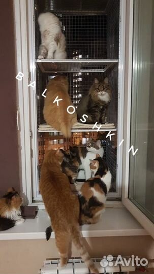 Балкончик для кошки,кошачий балкон,выгул на окно