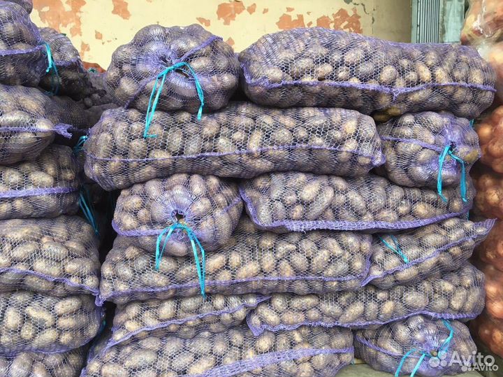 Продам картофель