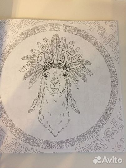 Раскраски антистресс: Ламы и Кактусы