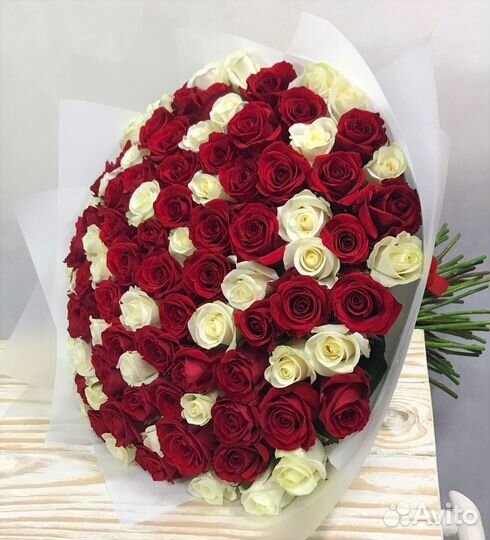 101 Роза цветы 201 101 51 Роза. Свежие Розы