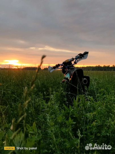 Regulmoto seven medalist 150e