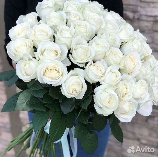 51 Роза, Букеты Цветы Розы 25 101 501 1001