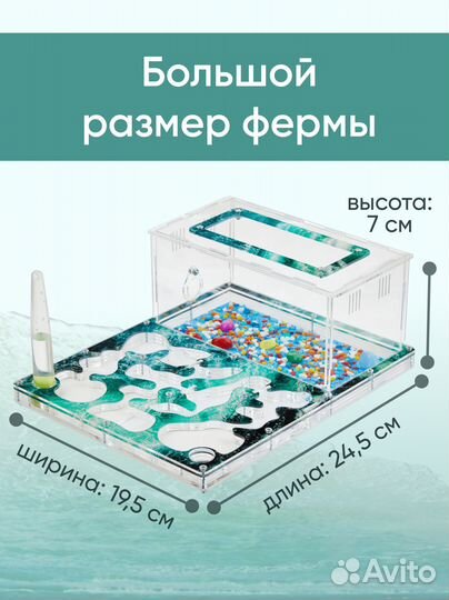 Большая муравьиная ферма giga c муравьями