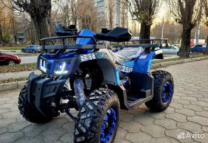 Квадроцикл Sharmax Activator 250