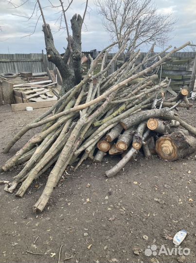 Продам дрова