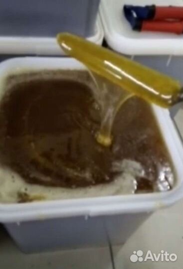 Свежий Алтайский мёд 2023