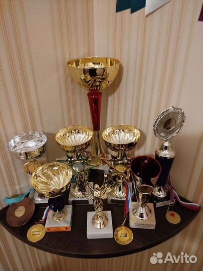 Американский голый терьер - вязка