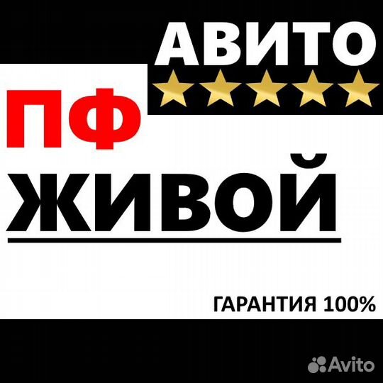 Продвижение Сайтов, Авито, Накрутка SEO пф Яндекс