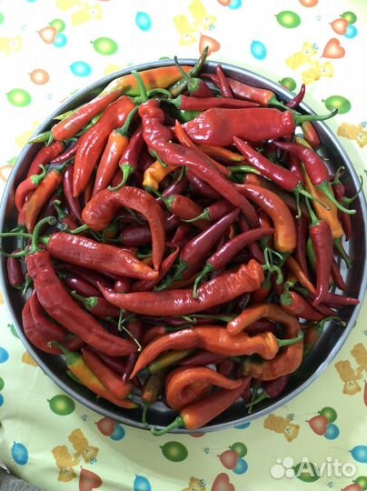 Перец острый