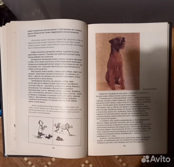 Книга Слово о собаке Л Корнеева 1989 г выпуска