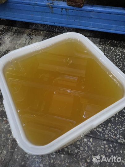 Липовый мёд Свежий Качка 2023 год