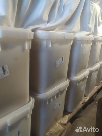 Мед Оптом рапс подсолнечник