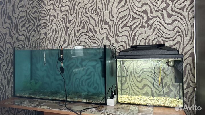 Аквариум без рыб 100 л и 30л