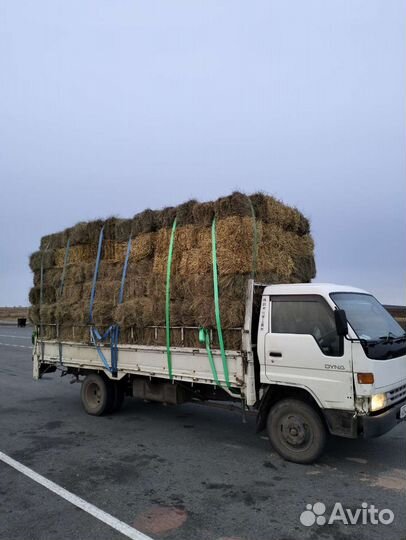 Продам солому, сено