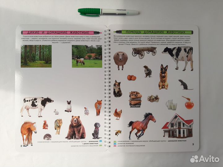 Новая -р/т №2 Логика и познание (3-4 г) Юлия Фишер