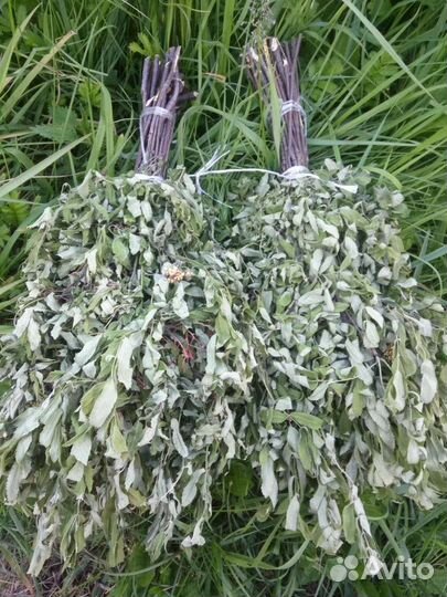 Веники рябиновые