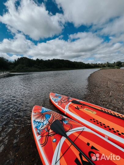 Sup board аренда